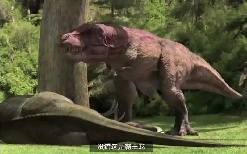 镰刀龙vs旅行家霸王龙