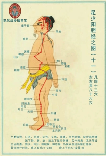 人体经络走向图 人体经络图解 人体穴位按摩法 易筋洗髓 十二
