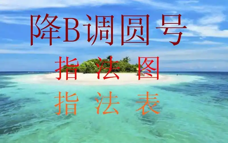 降b调圆号指法降b调圆号指法图降b调圆号指法表