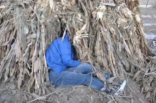 宁夏玉米地现无名男尸 警方:不排除"冻死"可能性