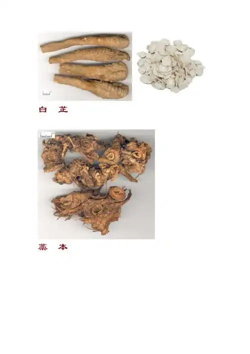 常用中药饮片彩色图谱_第4页