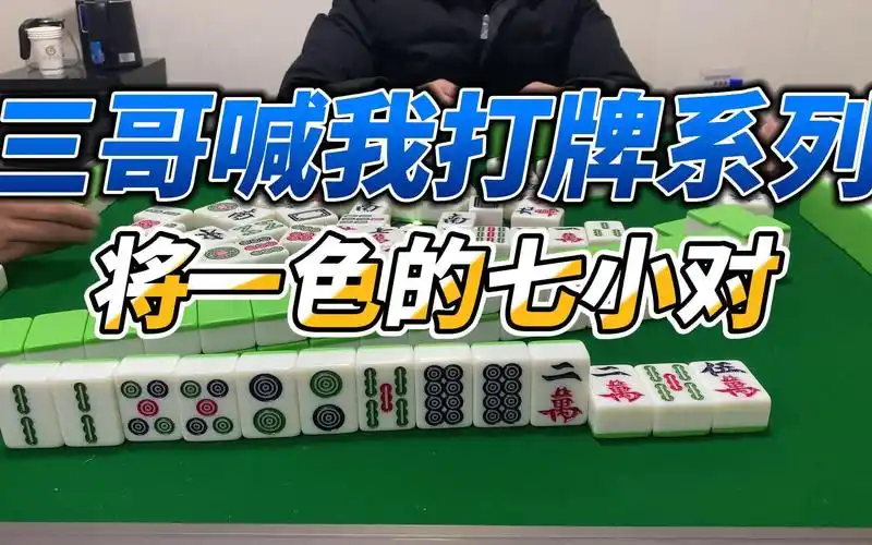 山东麻将:二五八定将不吃自摸,将一色的七小对,第一次见