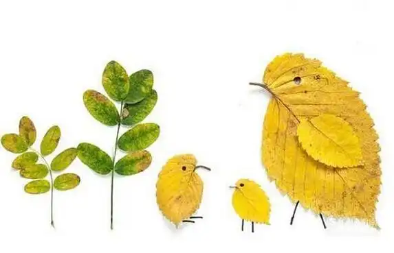 手工diy——秋天如何制作树叶画