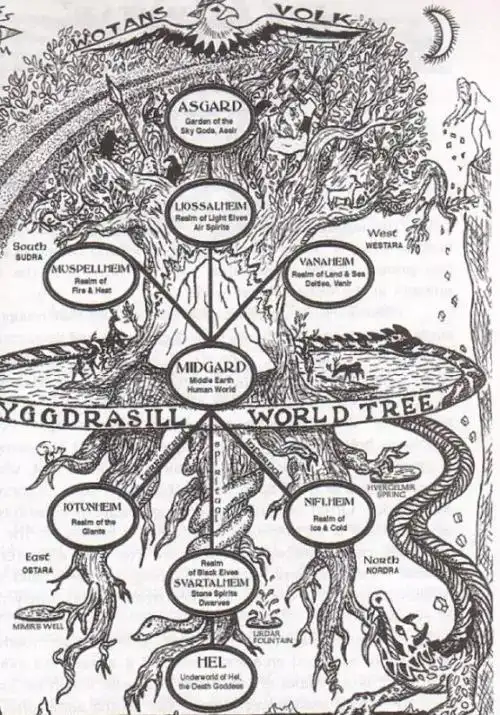 白蜡木|北欧神话中的"世界树",也是家具界的扛把子