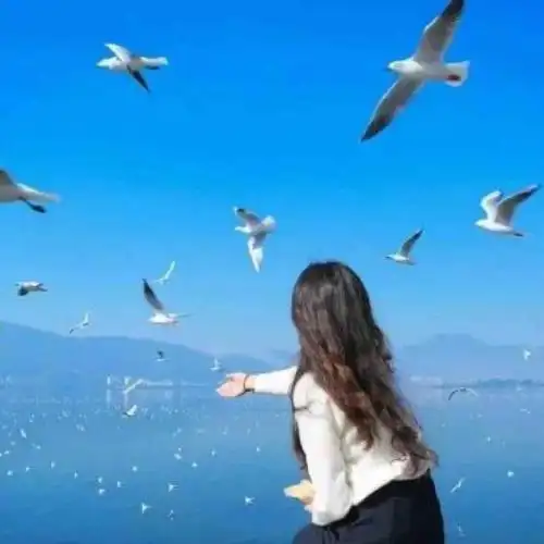 初夏阳光里头像