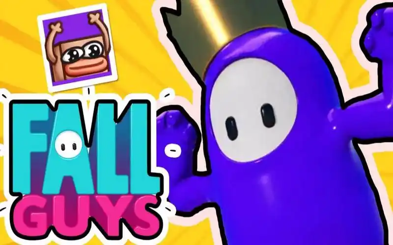 boxboxtheboxboxfallguysexperience