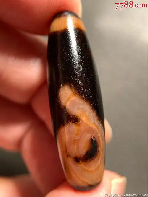 藏传带朱砂双法螺天珠37.8*12毫米