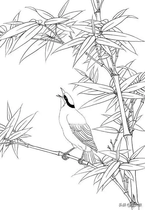 工笔竹子高清白描线稿-酷画网