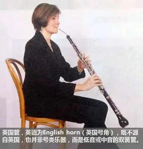 低音管家族:低音管(bassoon),倍低音管(contrabassoon)等.