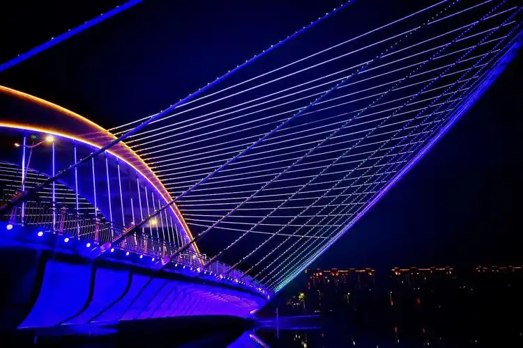 阅海夜景竟然这么美