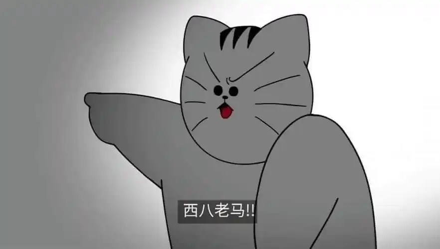 氵看了一个早上的西八猫