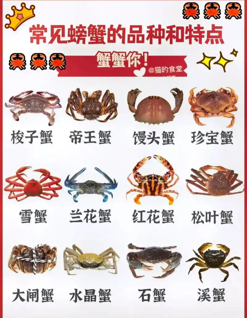 【螃蟹说明书】螃蟹的种类与特点6015附做法.