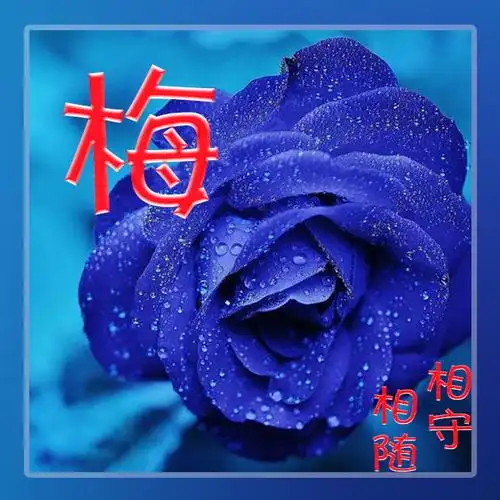 【编号435】爱情情侣系列-微信头像,百家姓氏微信头像,名字壁纸