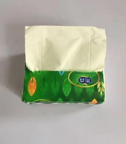 同城快送雨森抽纸家庭装抽纸10包装