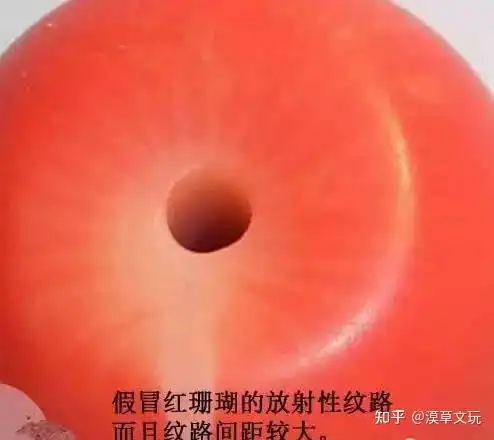 红珊瑚真假怎么鉴定一分钟搞定