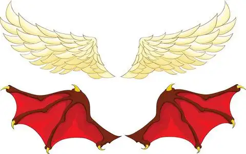 一个天使和一个恶魔的翅膀照片