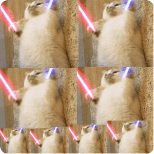 一波猫咪打callgif动图