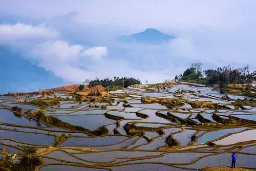 哈尼族元阳梯田