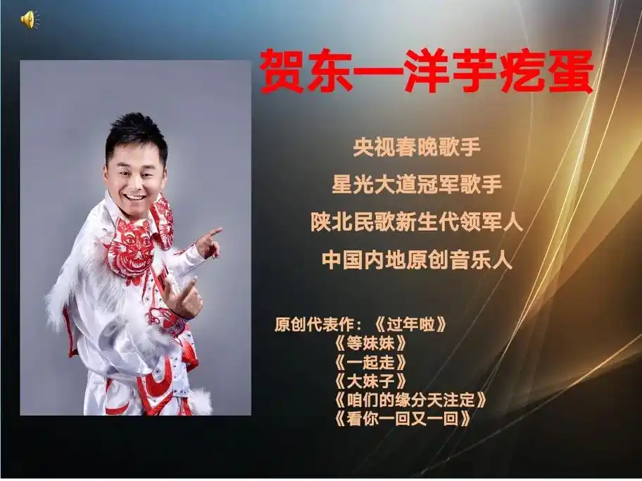 央视春晚歌手星光大道冠军歌手陕北民歌