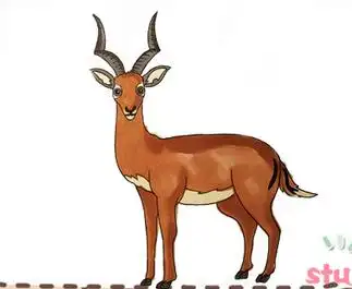 羚羊简笔画