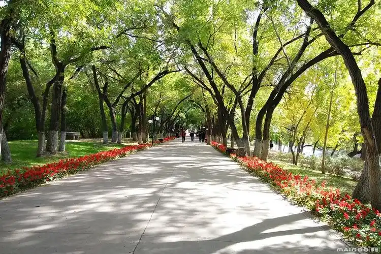 齐齐哈尔市龙沙公园的美景高清实拍图片大全原创