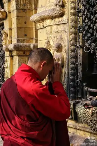 僧侣朝拜虔诚有加.