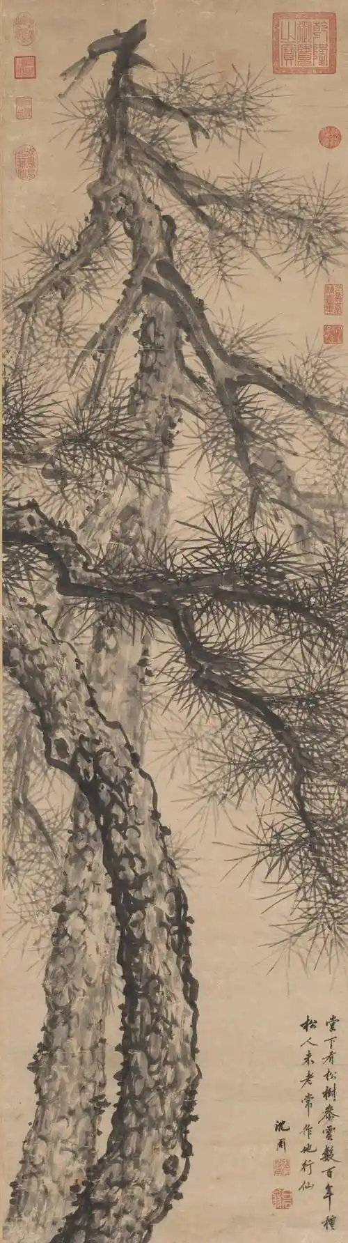 古代名家画古松,精彩纷呈_李唐_磐石_松泉