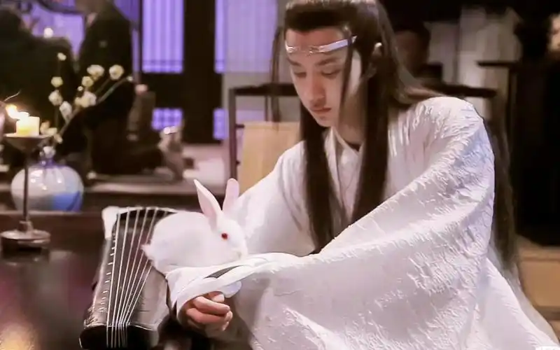 【王一博|蓝湛】抱兔子的不一定是嫦娥,也可能是含光君