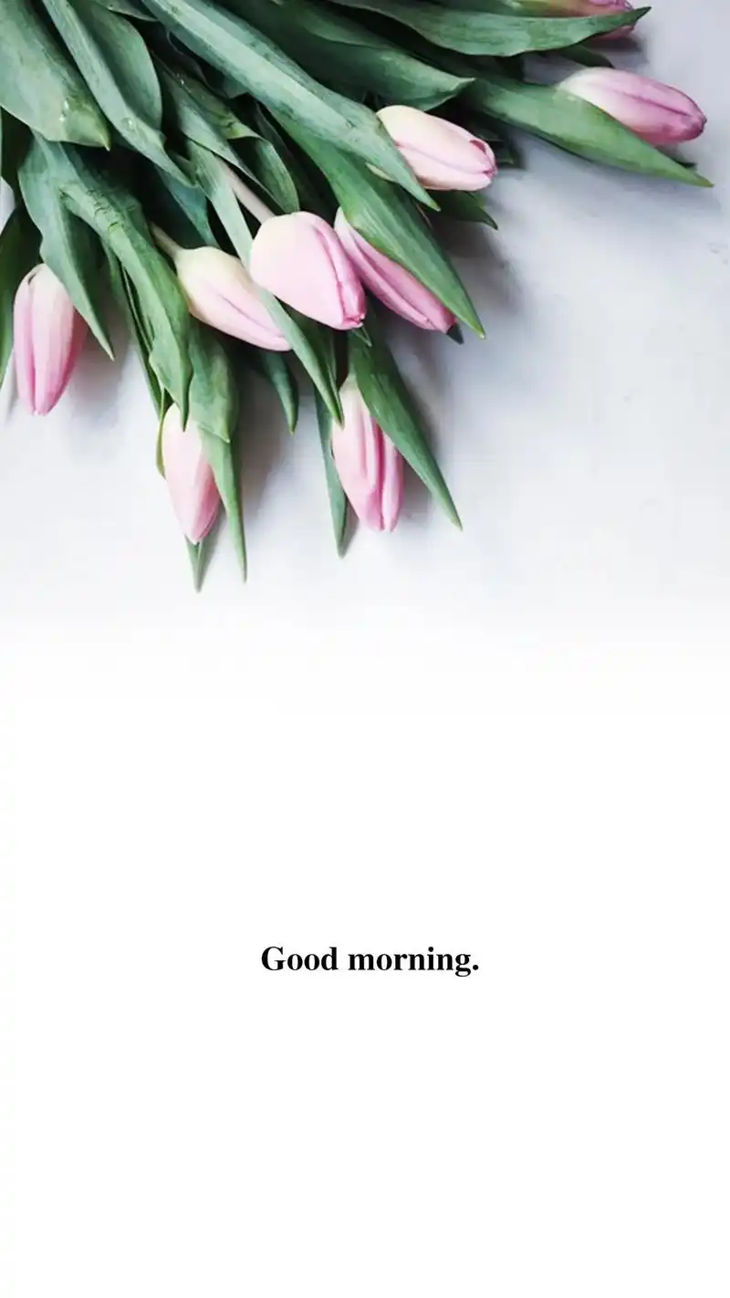 治愈系风景 #高清壁纸  - 抖音