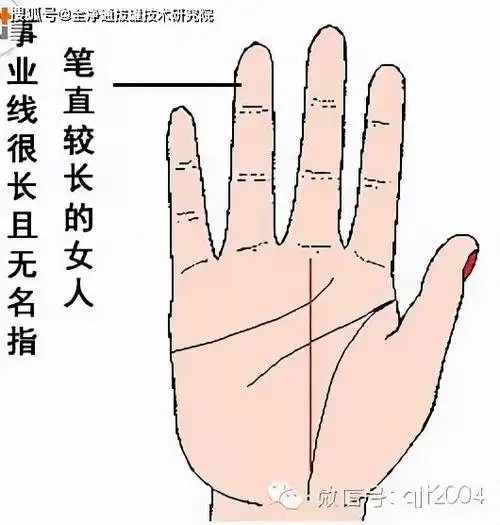 事业线是什么意思(说女人的事业线是什么意思)-站长百科