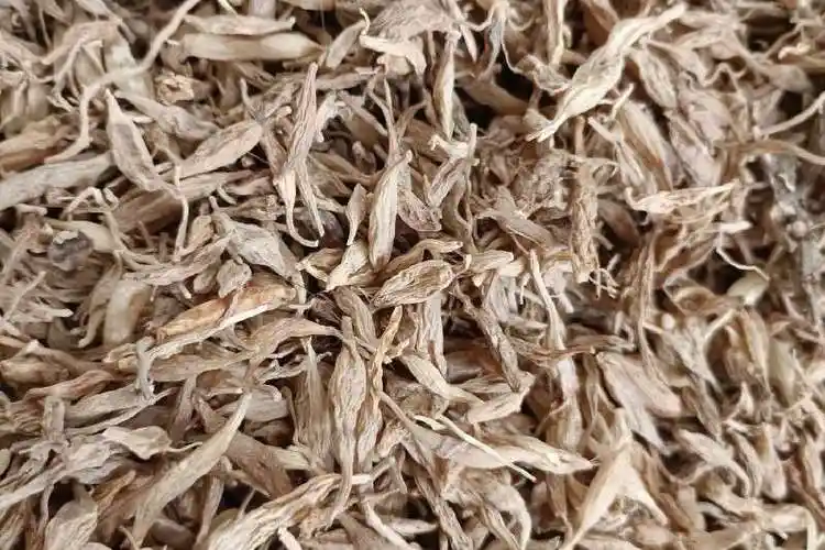 四川广元纯野生麦冬价格坚挺 - 中药材产业信息门户网站