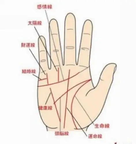 手相图解
