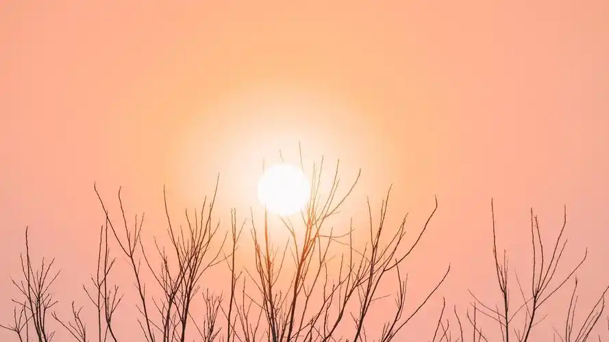 电脑壁纸 风景 温暖又明媚的三月阳光风光意境