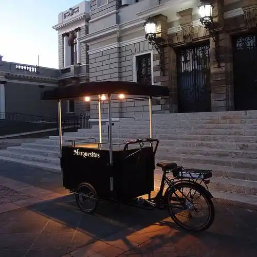 定制出口移动冰淇淋推车 雪糕车 冰激凌花 车移动售卖车 冰淇淋自行车