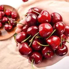 【省150元】茵纯车厘子/樱桃_茵纯 智利车厘子4jjjj级 净重5斤装 京东