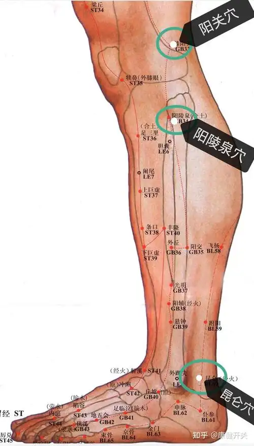 腿麻,如何按揉穴位解决?