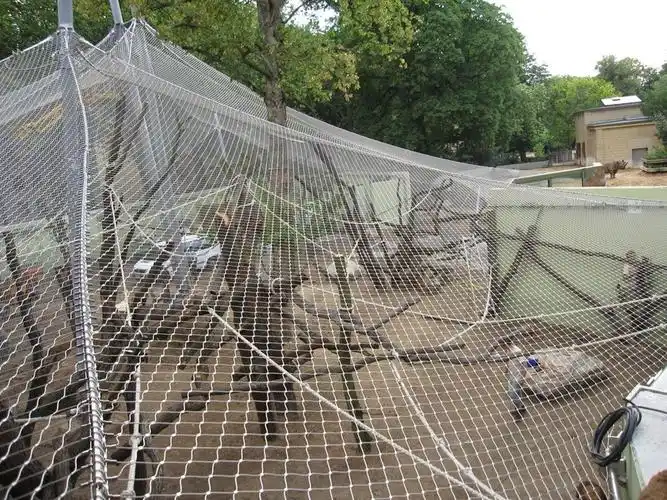 桂平不锈钢绳网做为百鸟园围网的参考因素