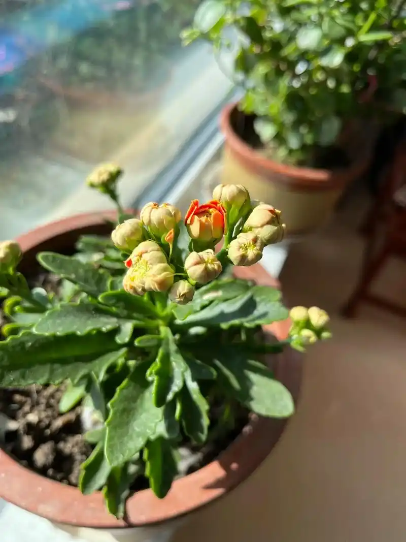 岁月匆匆,一晃而过,人生短暂,不经细算.童年早已成梦,少年不 - 抖音