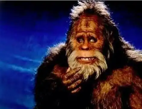 野人是一种存在于世界各地,未被证实存在的高等灵长目动物,直立行走