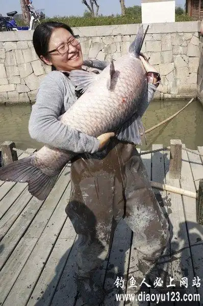 杭州入冬举办干塘捕鱼节捕获40斤鱼王