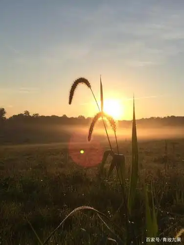 最爱清晨那一缕阳光!