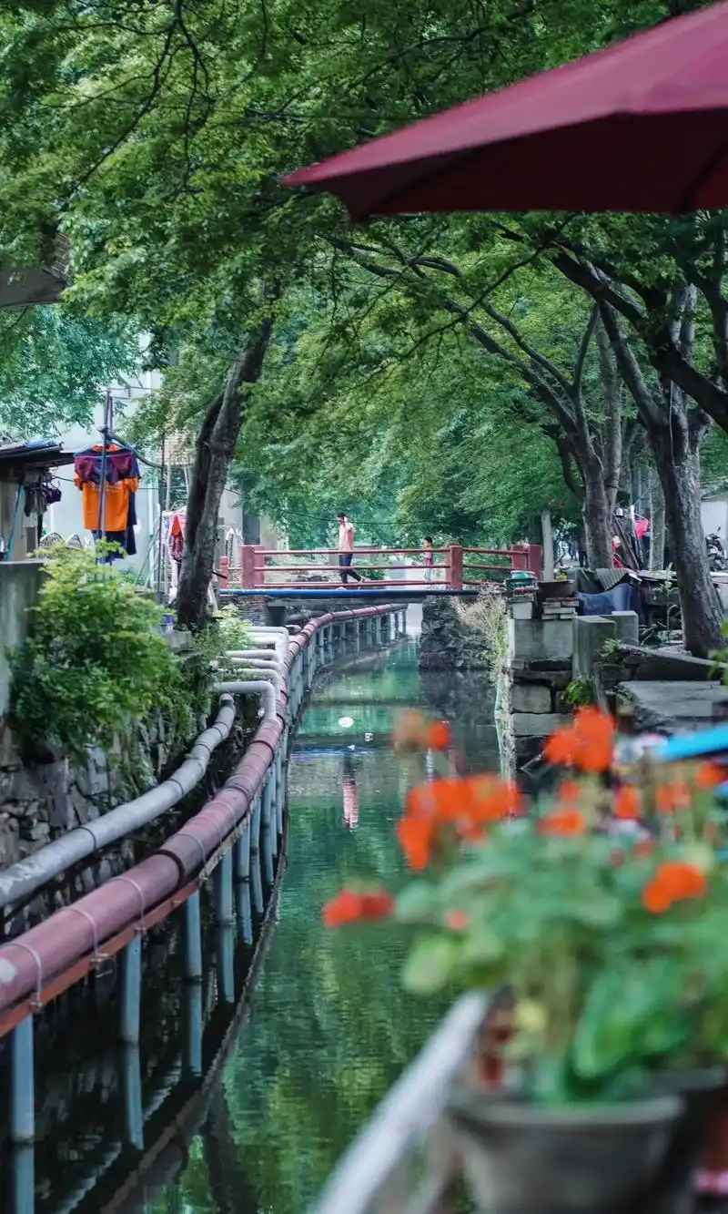 无锡南泉老街|盛夏的复古绿91小众拍摄地.人间烟火气,最抚凡 - 抖音