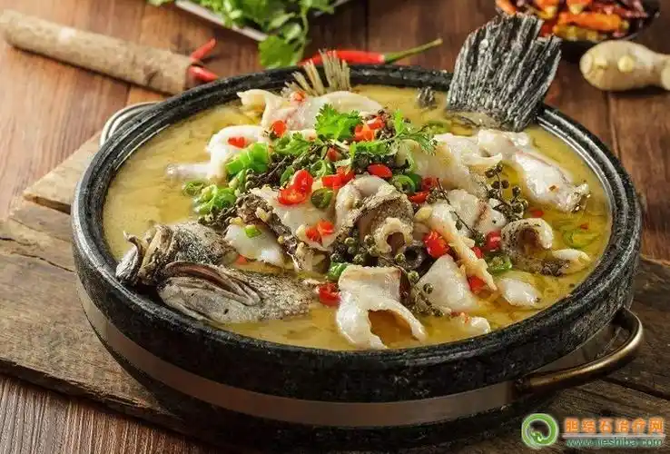 胆囊炎吃胖头鱼好不好