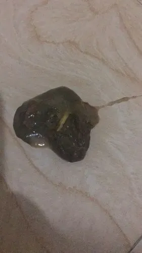 狗狗的大便成这样了!是细小吗?