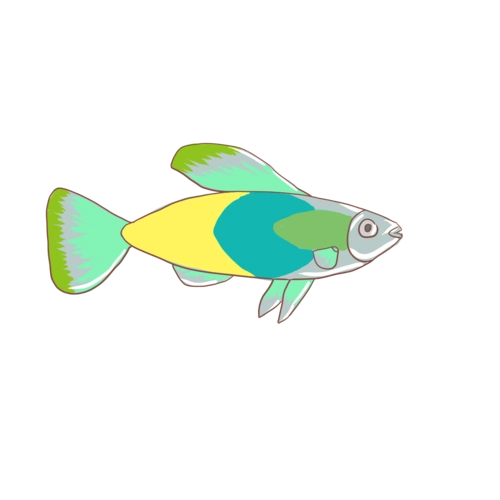 卡通大鱼图片大全