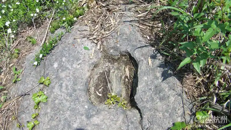 神牛蹄印