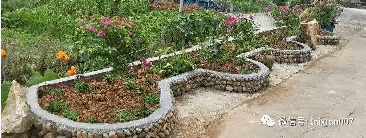 史上最全庭院花坛设计500款