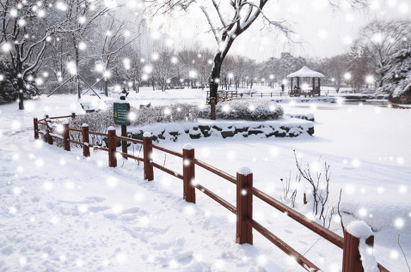 小寒一首超好听轻音乐下雪啦送给大家