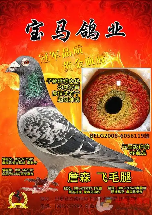 詹森飞毛腿--烟囱号-修曼直孙