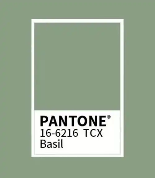 绿色从未在流行色的舞台上缺席,从草木绿,薄荷绿再到绿蜜蜂,足以看出